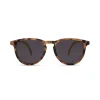 Leosun Kids Sunglasses | Oli | Tortoise & Neon