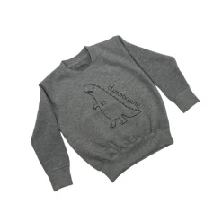Wexbaby Kids Sweatshirt | Dino Grey