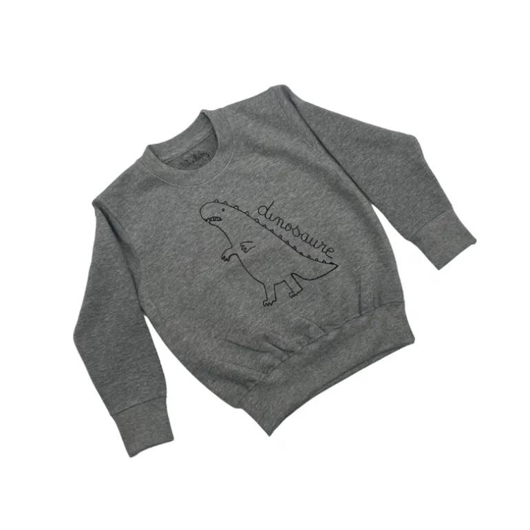 Wexbaby Kids Sweatshirt | Dino Grey